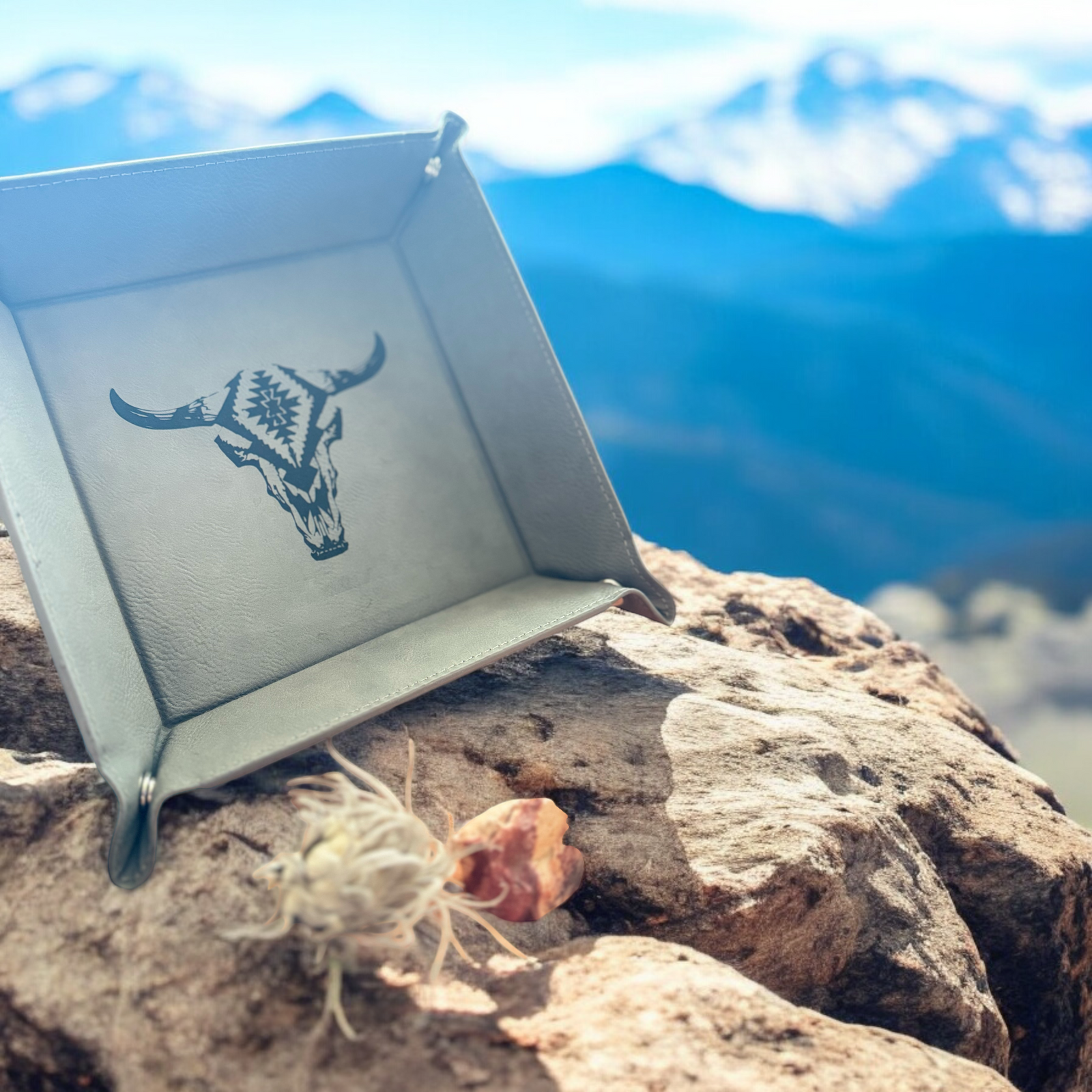 Leather Jewelry Trays