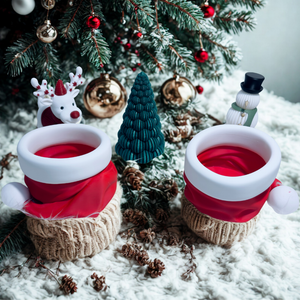 Santa Claus Candy Holder